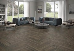 alaplana_lakeland_3.jpg