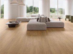 alaplana_westlake_1.jpg