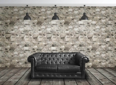 lafenice_wallrock_1.jpg