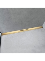 HG-560539900.jpg
