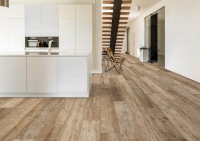 crz64_kauri_3.jpg