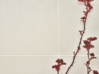 decoratori_silk_4.jpg