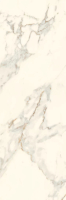 paradyz_serene_04.jpg