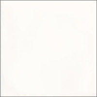 Paradyz falicsempe Paradyz Tamoe Bianco falicsempe 19,8 x 19,8