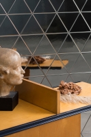 Petracer Triangolo Falburkolat 