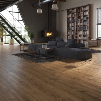 profiltrend_20260615_13