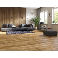 profiltrend_20260615_29