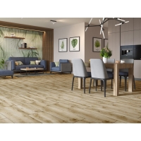 profiltrend_20260615_38