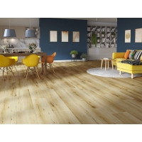 profiltrend_20260615_40