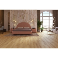 profiltrend_20260615_9
