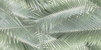 Valore Tubadzin Altea CCR211 Leaves dekorcsempe 30x60 cm